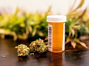 Medical Cannabis for Pain May Reduce Need for Opioids