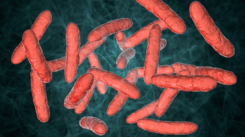 Gesunde Mikrobiota erweist sich als starker Verbündeter im Kampf gegen Krankheiten