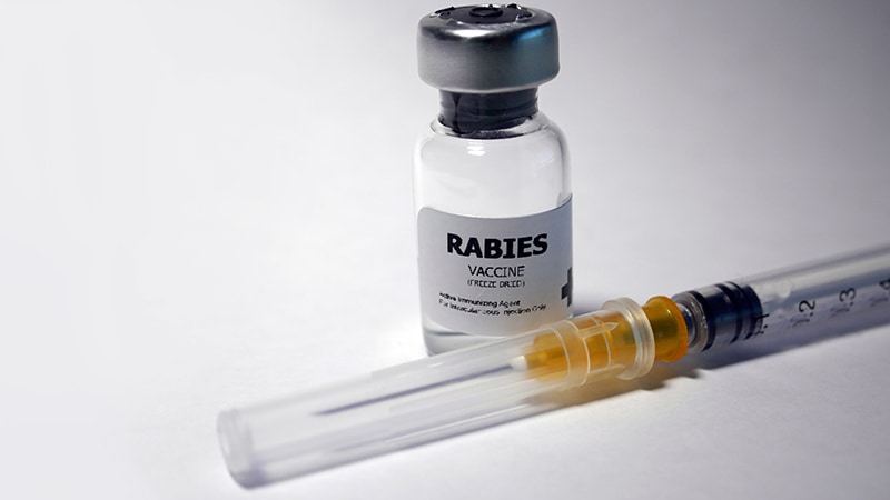 Rabies Risk Assessment: Test Your Knowledge