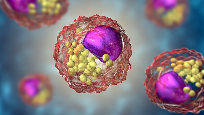 EVAPORATE: Early Mechanistic Clues to Vascepa's CV Benefits